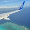 ANAの飛行機と海