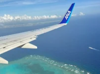 ANAの飛行機と海